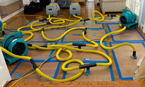 Professional Flood Damage Restoration technician working in Foley, MO
